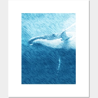 humpback whale Posters and Art